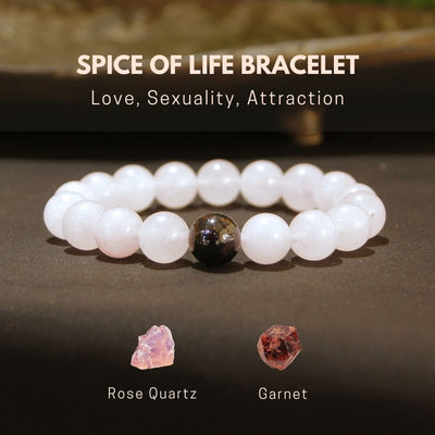 4-in-1 Bundle Pack - 50% Discount