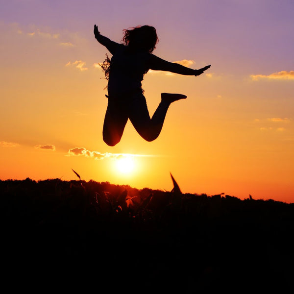 Dvāra – The Gateway