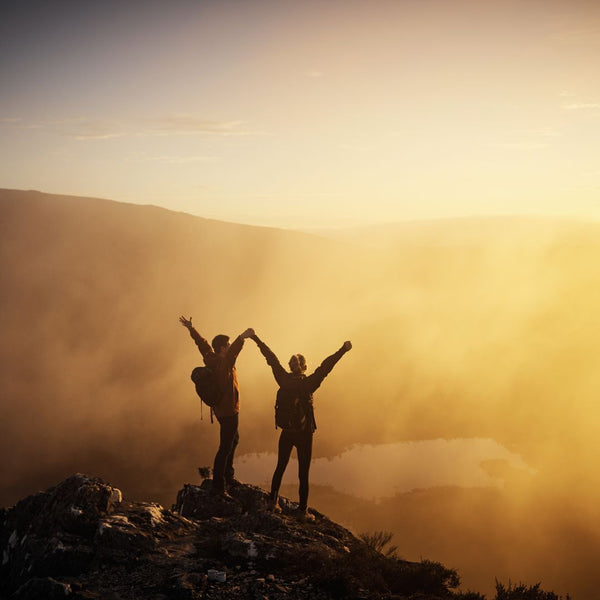 Pūrṇa – The Complete